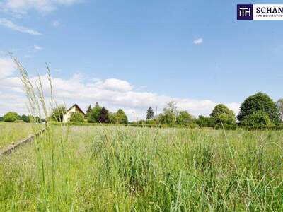 Grundstück kaufen in 8430 Leibnitz (Bild 5)