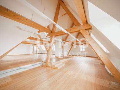 Gewerbeobjekt kaufen in 2320 Mannswörth (Bild 3)