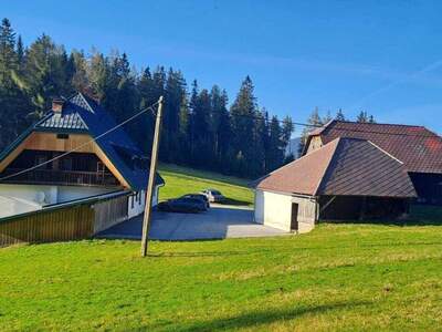 Haus kaufen in 8584 Hirschegg