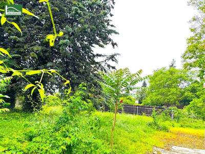 Grundstück kaufen in 1180 Wien