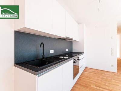 Terrassenwohnung kaufen in 1220 Wien (Bild 3)