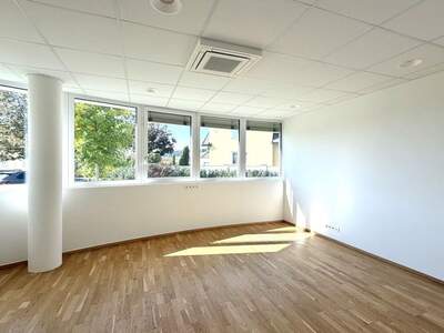 Gewerbeobjekt mieten in 8430 Leibnitz (Bild 4)