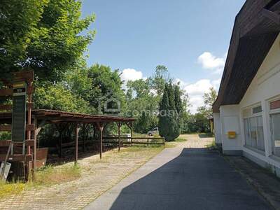 Grundstück kaufen in 7161 Sankt Andrä