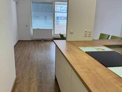 Wohnung provisionsfrei mieten in 1100 Wien
