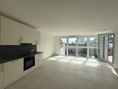 Terrassenwohnung mieten in 1100 Wien (Bild 3)