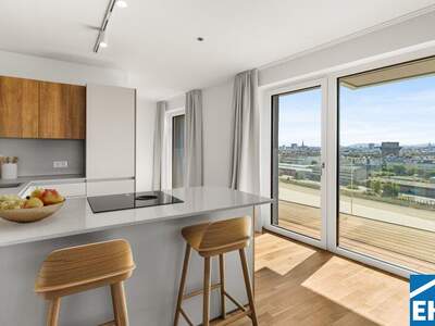 Terrassenwohnung mieten in 1200 Wien (Bild 2)