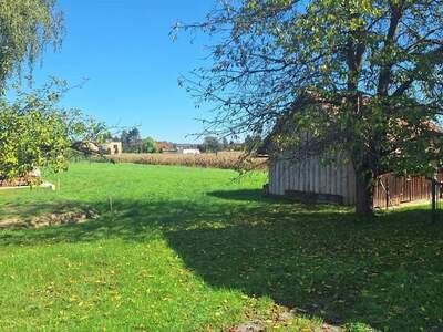 Grundstück kaufen in 8472 Straß