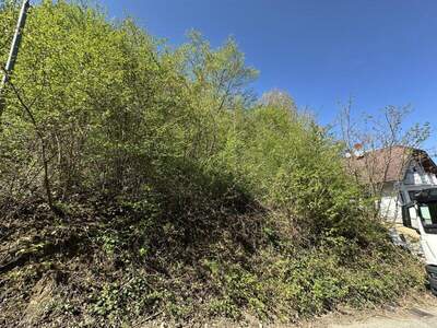 Grundstück kaufen in 7203 Wiesen (Bild 2)