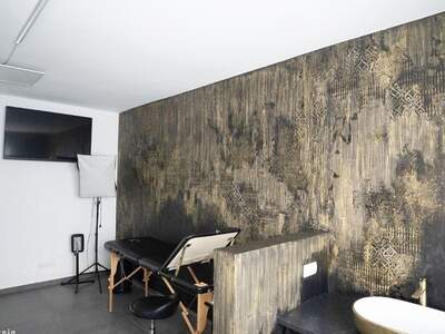 Gewerbeobjekt mieten in 8042 Graz (Bild 4)