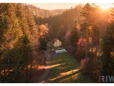 Haus kaufen in 2831 Warth