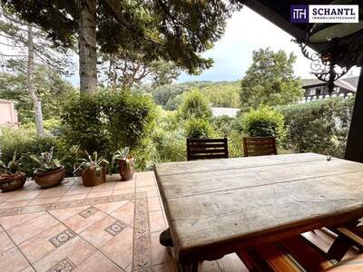 Chalet kaufen in 1180 Wien (Bild 3)