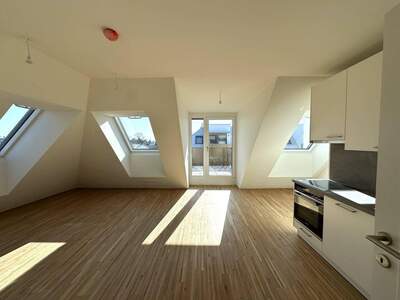 Anlageobjekt kaufen in 1220 Wien