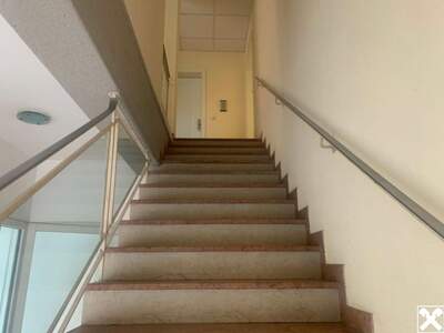 Anlageobjekt kaufen in 2700 Wiener Neustadt (Bild 2)