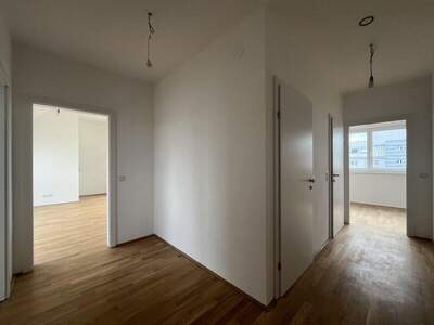 Terrassenwohnung kaufen in 1100 Wien (Bild 5)