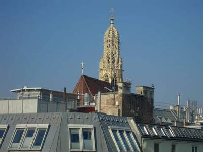 Wohnung provisionsfrei mieten in 1010 Wien