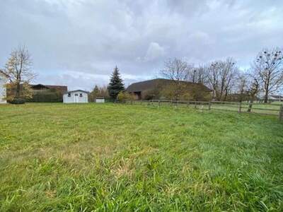 Grundstück kaufen in 4614 Marchtrenk (Bild 2)