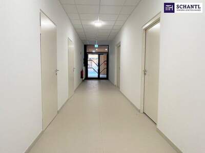 Büro / Praxis mieten in 8330 Feldbach (Bild 1)