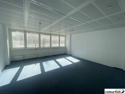 Gewerbeobjekt mieten in 1020 Wien (Bild 3)
