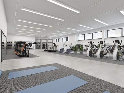 Gewerbeobjekt mieten in 1220 Wien (Bild 4)