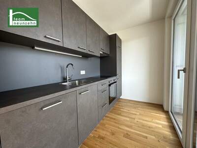 Terrassenwohnung mieten in 1100 Wien (Bild 3)