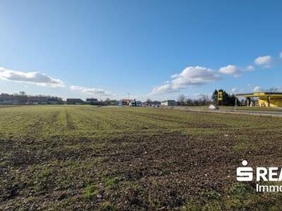 Grundstück kaufen in 4614 Marchtrenk (Bild 2)