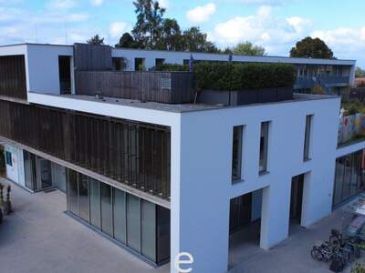 Gewerbeobjekt mieten in 5061 Elsbethen (Bild 3)