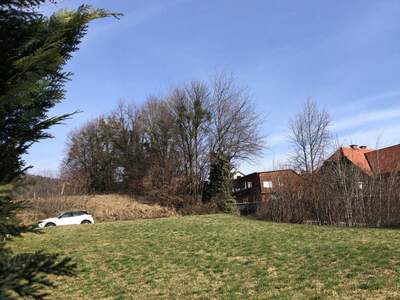 Grundstück kaufen in 8061 Sankt Radegund (Bild 2)