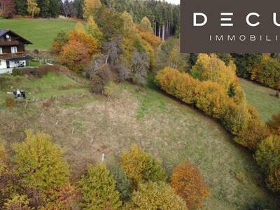 Grundstück kaufen in 9212 Techelsberg (Bild 5)