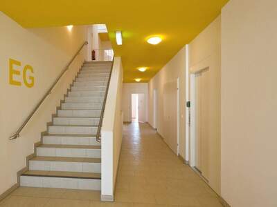 Wohnung mieten in 3100 St. Pölten (Bild 4)