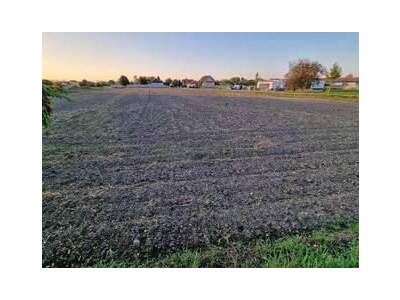 Grundstück provisionsfrei kaufen in 7162 Tadten