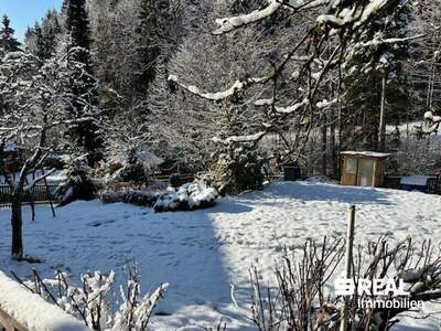 Haus kaufen in 4202 Kirchschlag (Bild 4)