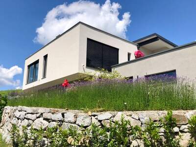 Haus kaufen in 4320 Perg (Bild 2)