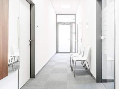 Gewerbeobjekt mieten in 4209 Engerwitzdorf (Bild 4)