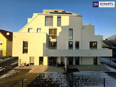 Terrassenwohnung kaufen in 1220 Wien (Bild 2)