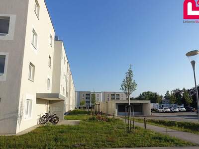 Immobilie mieten in 4053 Haid (Bild 2)