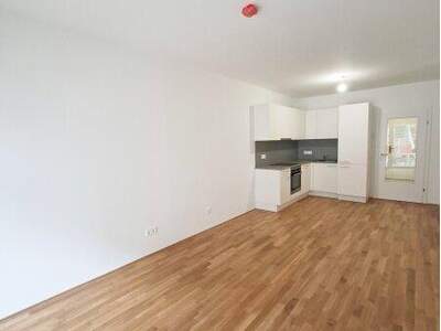 Terrassenwohnung mieten in 8010 Graz (Bild 4)