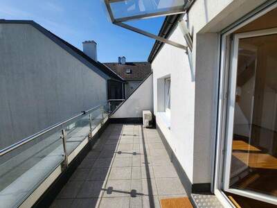 Terrassenwohnung mieten in 2000 Stockerau (Bild 2)