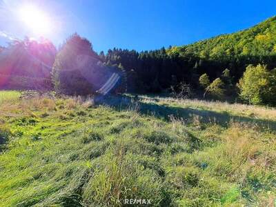 Grundstück kaufen in 4462 Reichraming