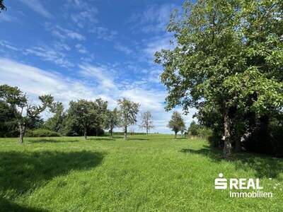 Grundstück kaufen in 4611 Buchkirchen (Bild 3)