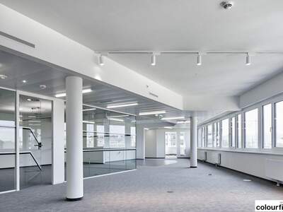 Gewerbeobjekt mieten in 1210 Wien (Bild 1)