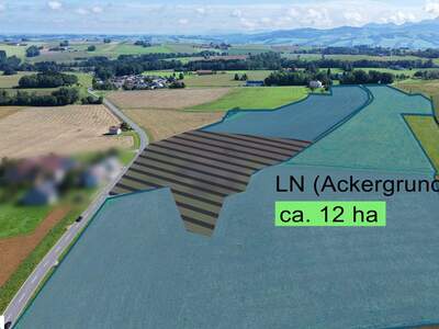 Gewerbeobjekt kaufen in 4643 Pratsdorf