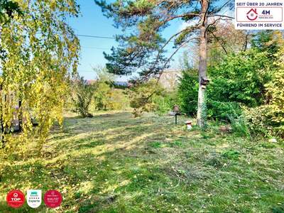 Grundstück kaufen in 1220 Wien (Bild 5)