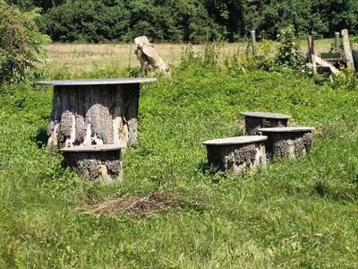 Mehrfamilienhaus kaufen in 9232 Rosegg (Bild 3)