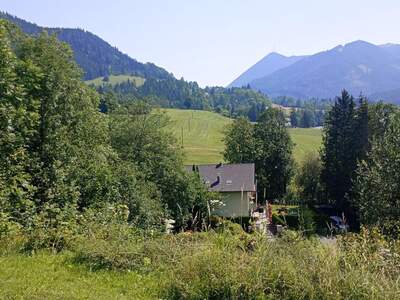 Grundstück kaufen in 8685 Steinhaus (Bild 2)