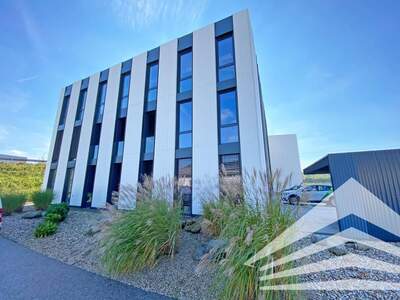 Gewerbeobjekt mieten in 4221 Steyregg