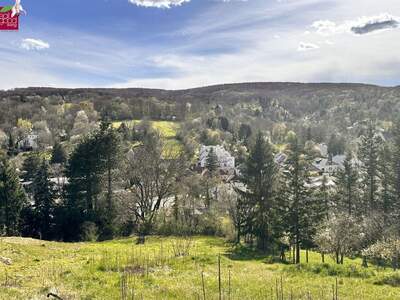 Grundstück kaufen in 3400 Klosterneuburg (Bild 2)