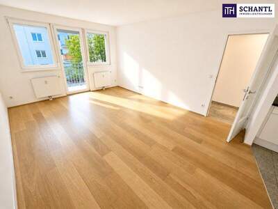 Terrassenwohnung kaufen in 1160 Wien (Bild 1)