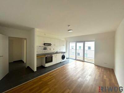 Terrassenwohnung mieten in 1100 Wien (Bild 1)