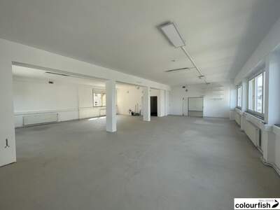 Gewerbeobjekt mieten in 1100 Wien (Bild 5)