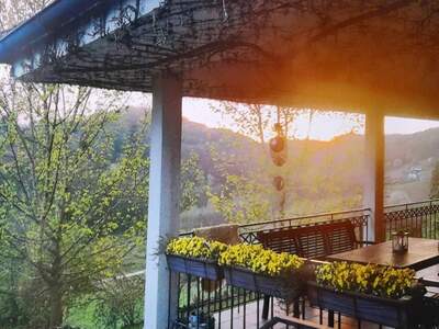 Gewerbeobjekt kaufen in 2214 Sladki Vrh (Bild 1)